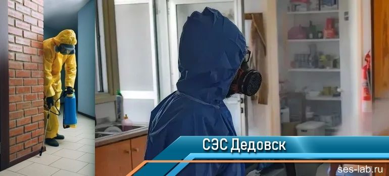 Санитарно-эпидемиологическая служба Дедовск