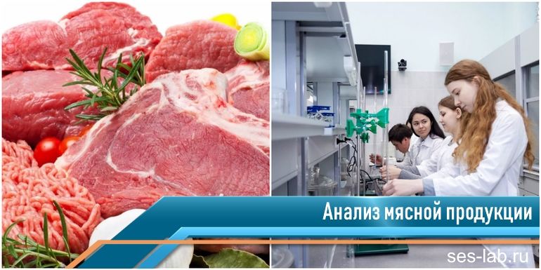 анализ мясо