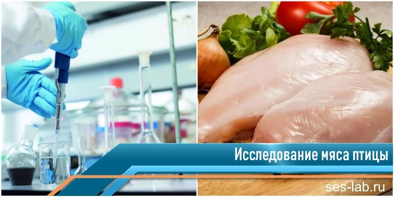 У курицы мясо зелёного цвета: можно ли такое есть?